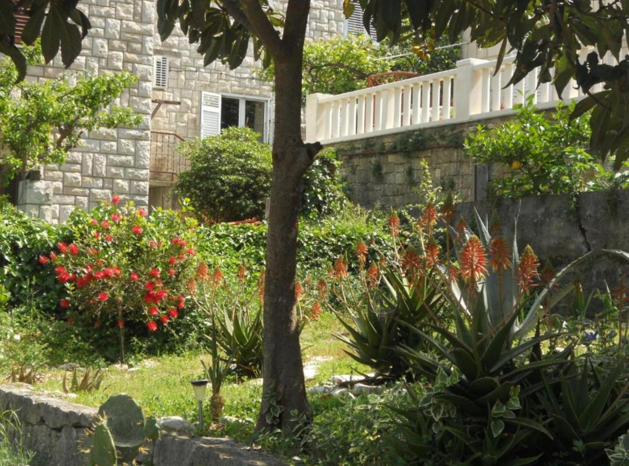 Apartment Plaza Korčula Eksteriør bilde